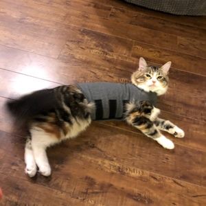 Meet your Posher, Tina